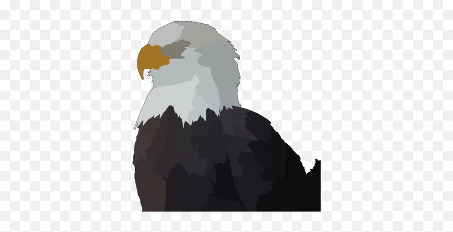 Eagle Head In Color Png Svg Clip Art For Web - Download,Eagle Head Icon