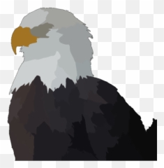 Eagle Head In Color Png Svg Clip Art For Web - Download
