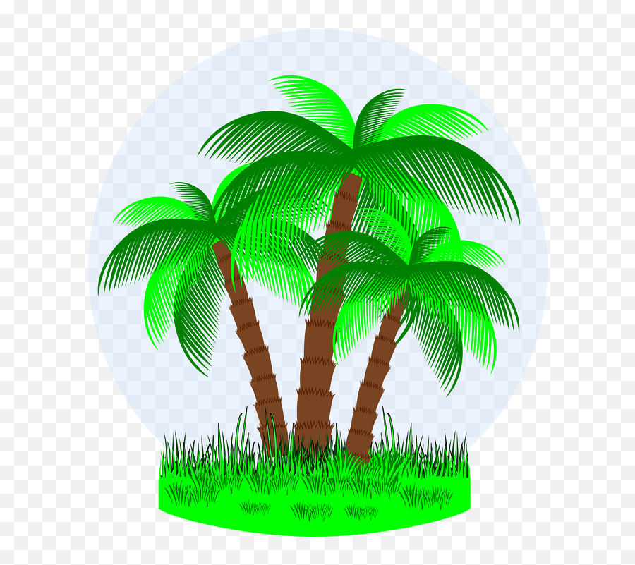 Vacaciones Verano Tropical - Gambar Pohon Palem Kartun Png,Palmeras Png