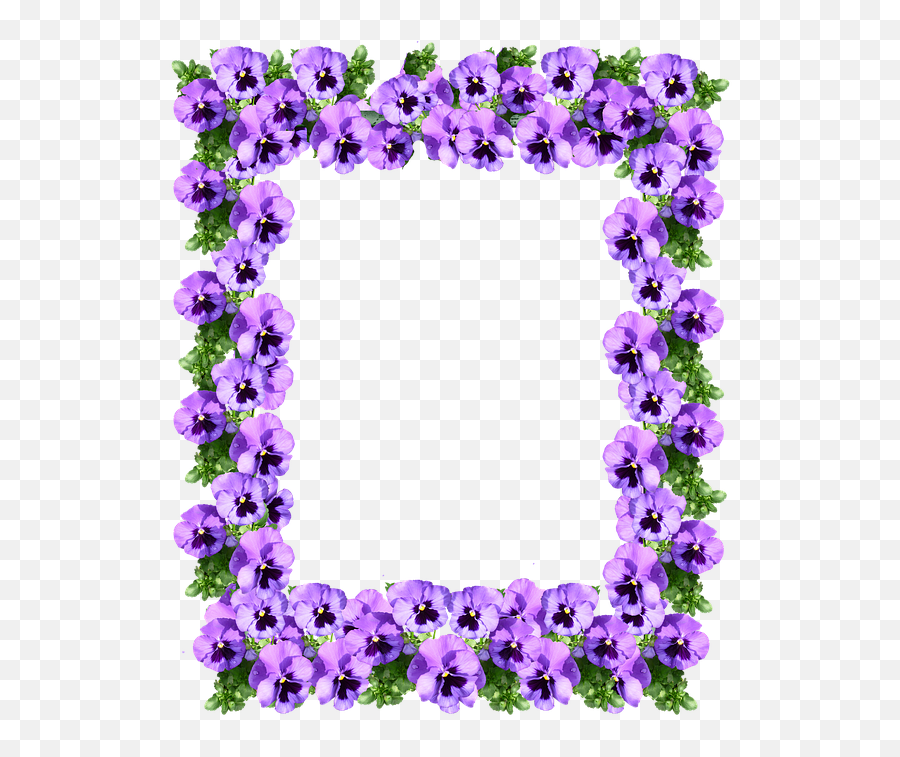 Picture - Purple Floral Border Designs Png,Purple Border Png