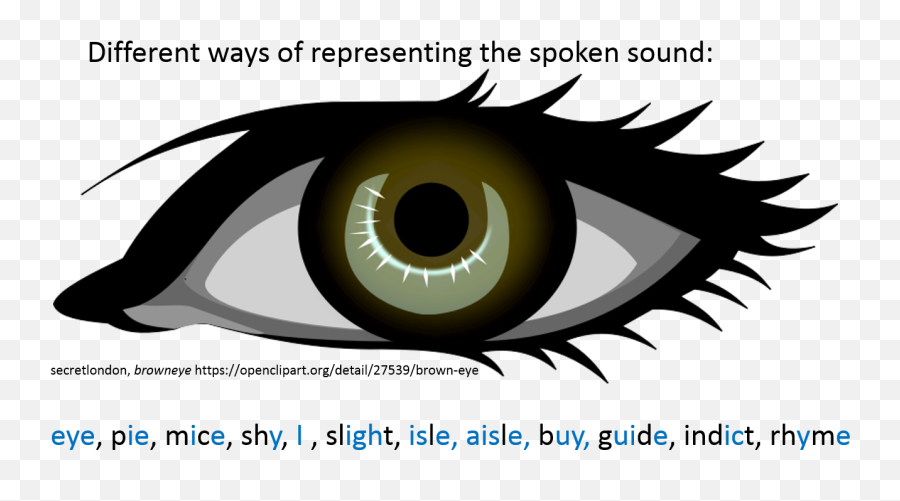 Spelling Tests U2013 How Well Do You Score Norah Colvin - Blue Eye Clip Art Png,Realistic Eye Png
