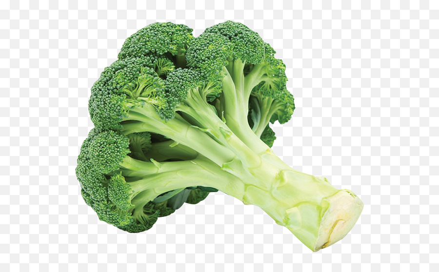 Broccoli - Vegetable Broccoli Png,Broccoli Transparent