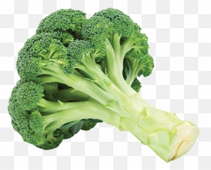 Broccoli - Vegetable png