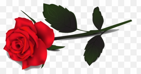 Rose Clipart Red Transparent Background - Art Single png