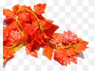 Download Su Shi Rattan Wall Hanging Fake Flower Vine - png