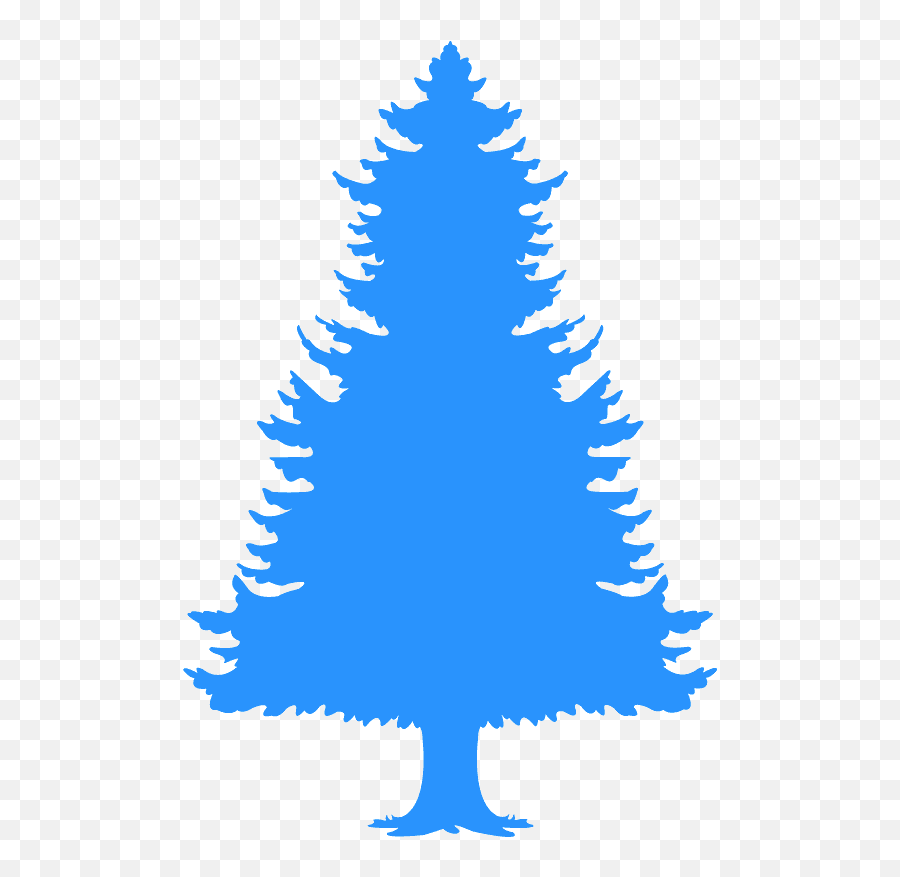 Conifer Tree Silhouette - Free Vector Silhouettes Creazilla Christmas Tree Png,Oak Tree Silhouette Png