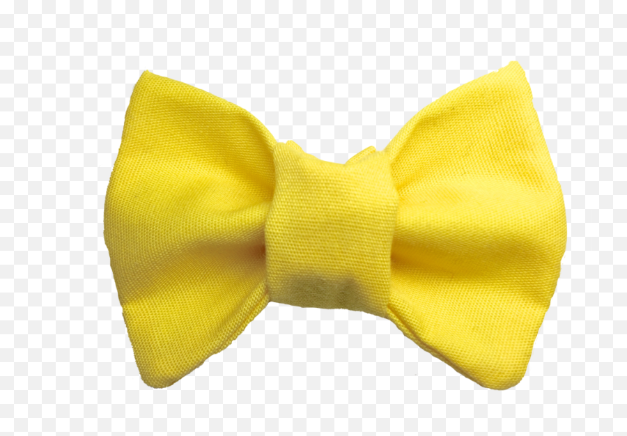 You Are My Sunshine Cat Bow Tie U2014 Ties For Cats - Pattern Png,Sunshine Png