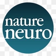 Divergent Medial Amygdala Projections - Nature Png,Divergent Logos