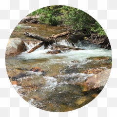 Stream Management Plan Resource Library Colorado Smp - Tributary Png,Water Stream Png