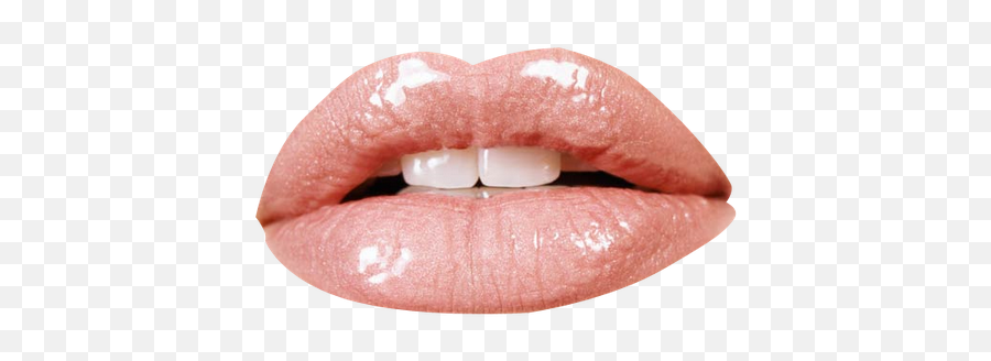 Png Labios 4 Image - Sweet Almond Oil For Lips,Labios Png