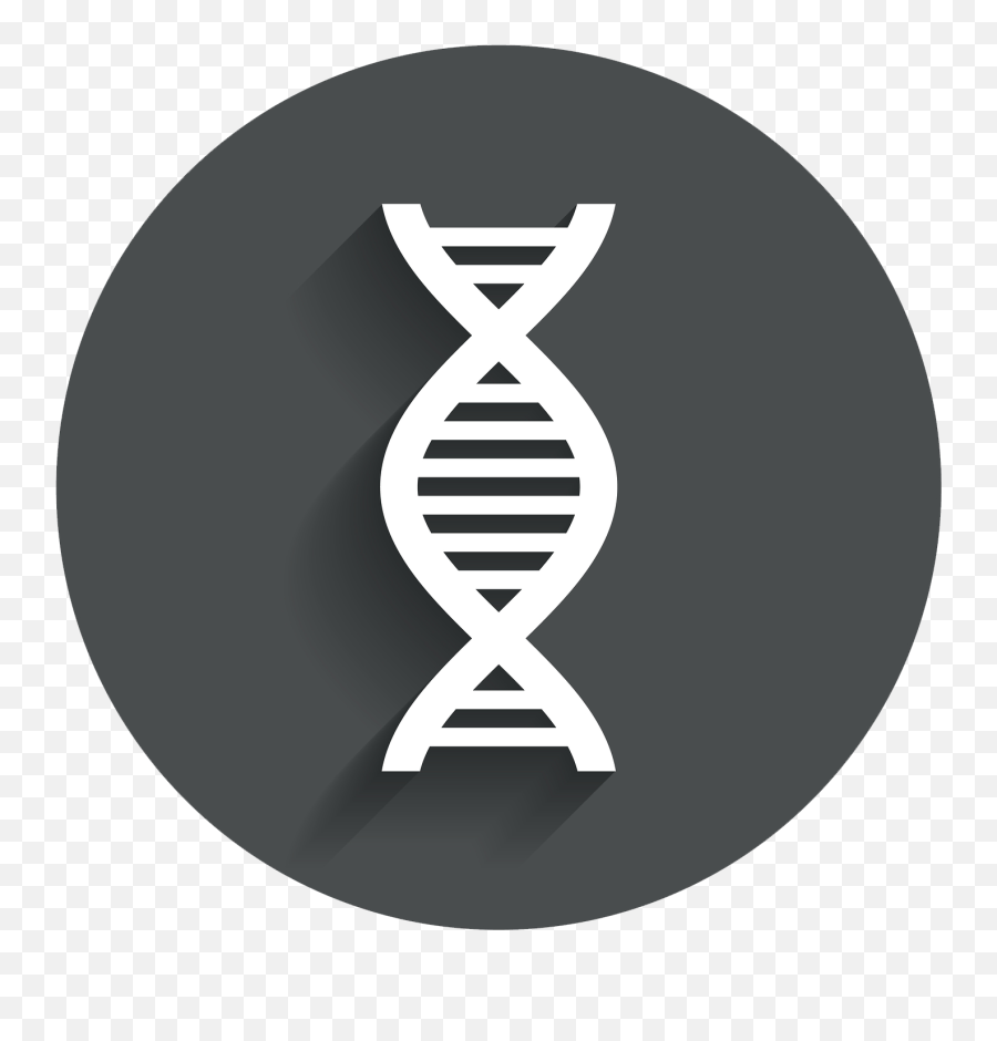 Png Images Pngs Dna Strand - Polymerase Chain Reaction Logo,Dna Strand Png