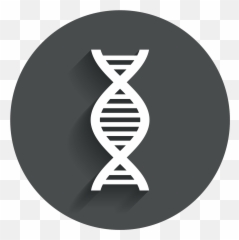 Png Images Pngs Dna Strand - Polymerase Chain Reaction Logo,Dna Strand Png