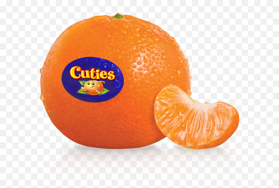 Download Cuties Mandarins Clementines - Cutie Oranges Png,Oranges Png
