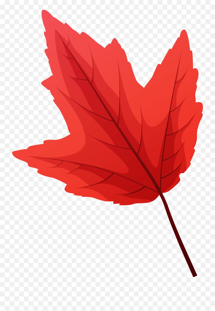 Red Maple Late Autumn Leaf Clipart Free Download - Clipart Autumn Leaf Png,Maple Png