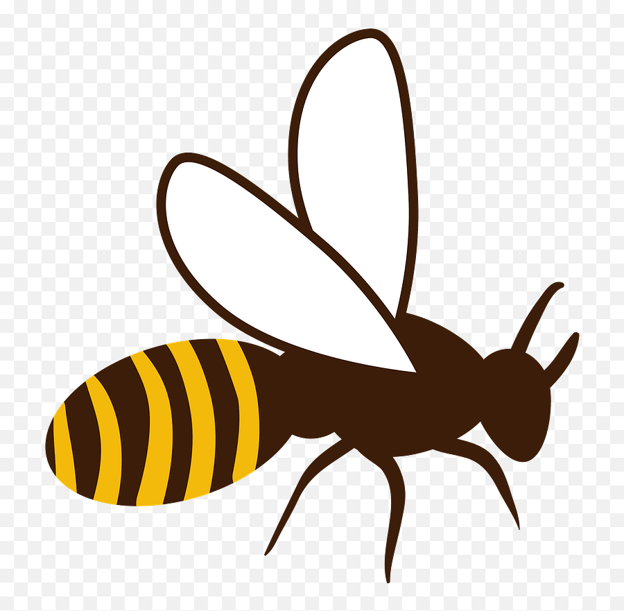 Honey Bee Clipart Free Download Transparent Png Creazilla - Parasitism,Transparent Bee