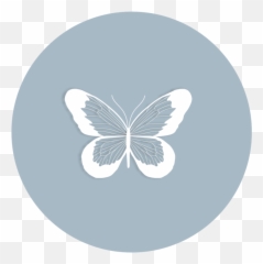 White Lace Butterflies Bridal Boutique Png