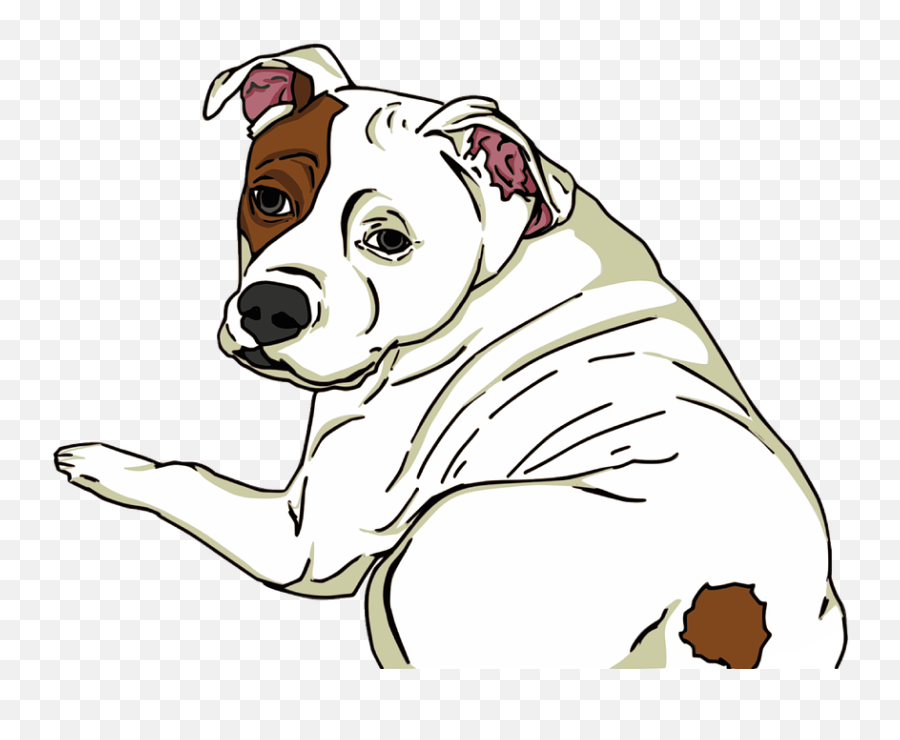 Animal Dog Pet - Free Vector Graphic On Pixabay American Pit Bull Terrier Png,Dog Sitting Png