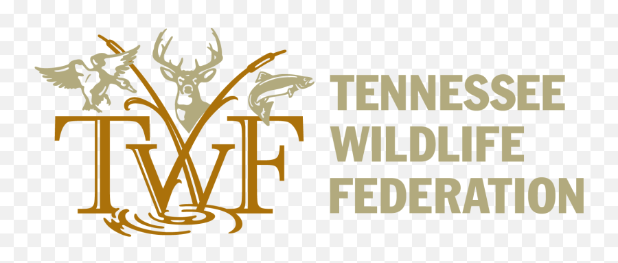 Tennessee Wildlife Federation Home - Wilderness Society Png,Tennessee Logo Png