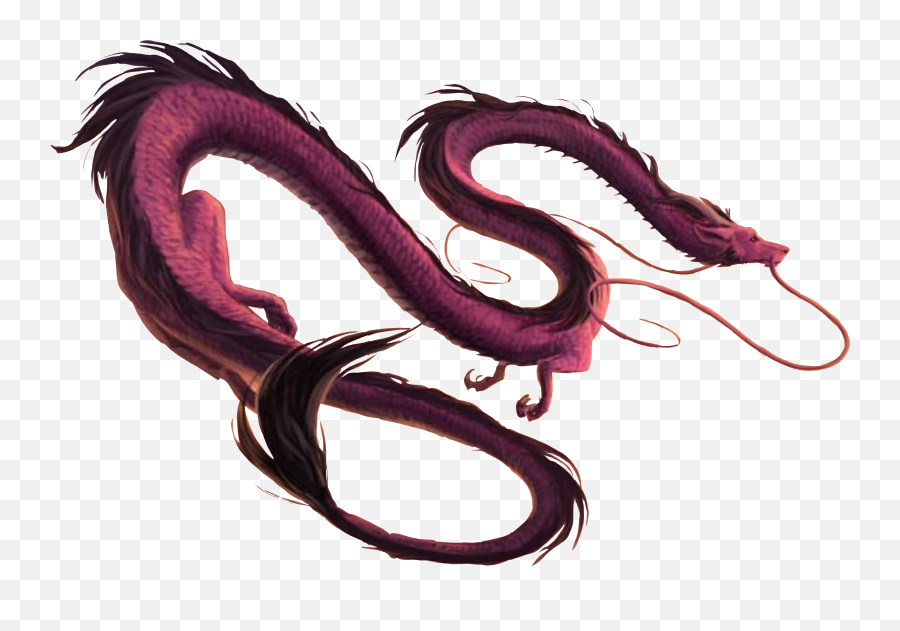 Dragon Serpent Draco Chinese Chinesedragon Sky Magic - Illustration Png,Chinese Dragon Transparent