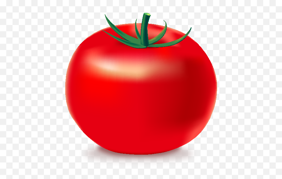 Red Tomato Icon - Illustrator 3d Tutorials Png,Tomato Icon Vector