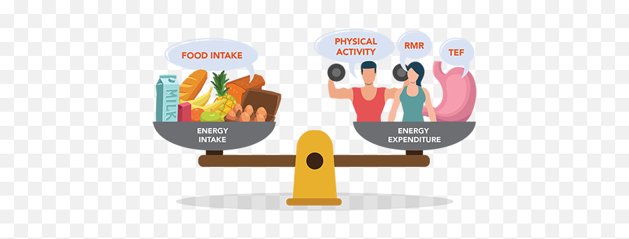 Active Health Energy Balance - Energy Balance Png,Energetic Icon