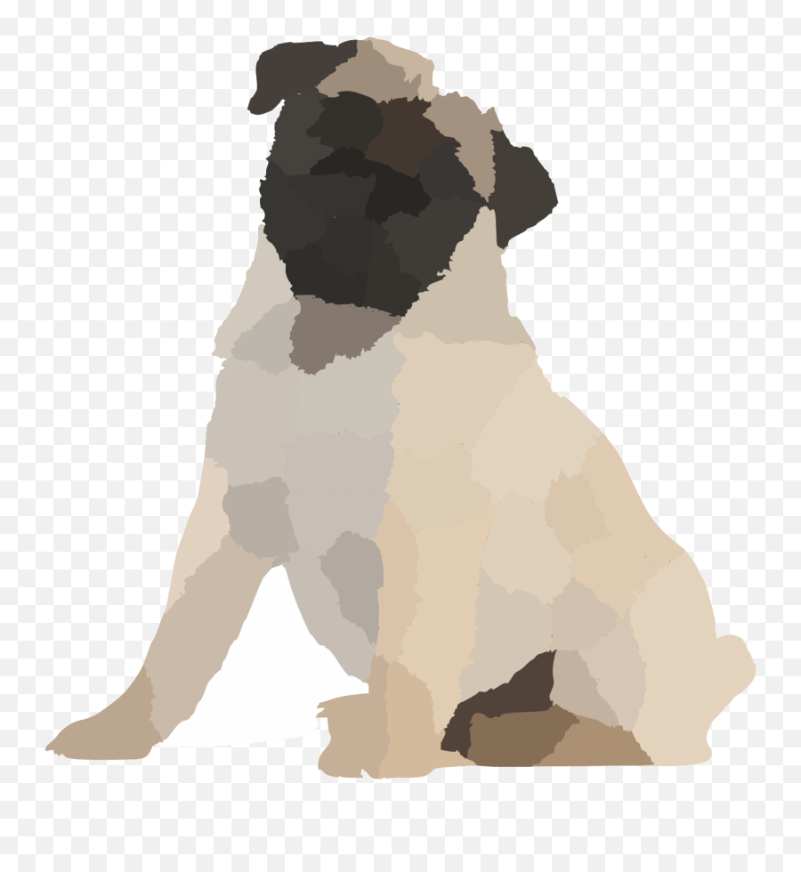 Fawn Pug Pup Weeks Old Sitting White Background Svg Clipart - Guard Dog Png,Pug Icon