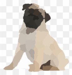Fawn Pug Pup Weeks Old Sitting White Background Svg Clipart - Guard Dog png
