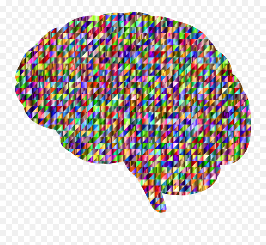 Organbrainpsychology Png Clipart - Royalty Free Svg Png Brain Art Transparent,Psychology Png