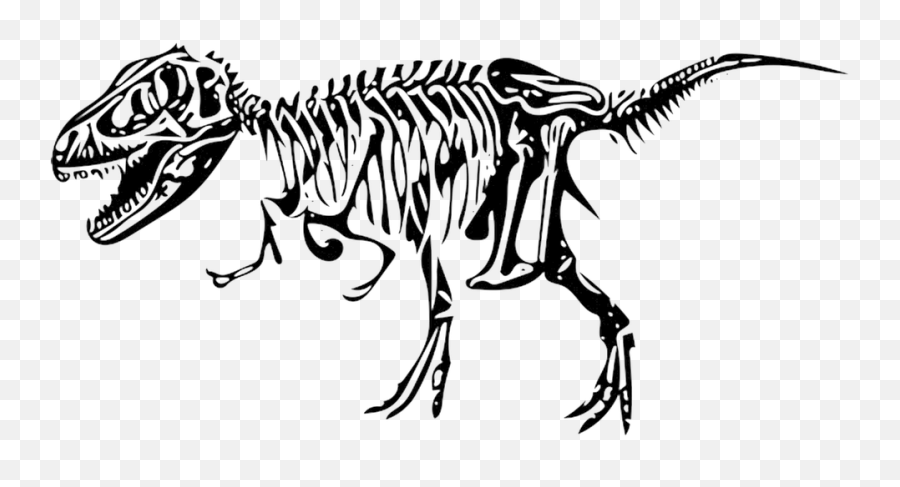 Dinosaur Tyrannosaurus Bone - Free Image On Pixabay Transparent Background Dinosaur Skeleton Clipart Png,Dinosaur Skull Png