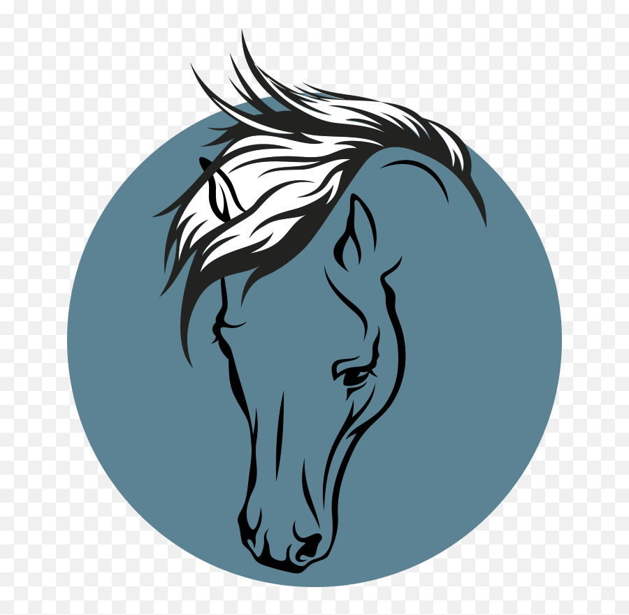 What To Expect U2014 Brooke Drassal Equine Bodywork Png Horse Head Icon