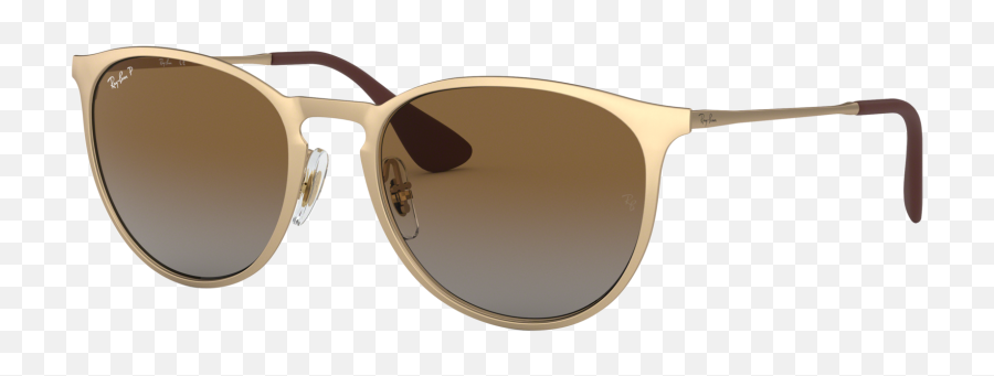 The Ultimate Ray - Ban Buyeru0027s Guide Sportrx Ray Ban Erika Gold Png,Rayban Icon Doupe