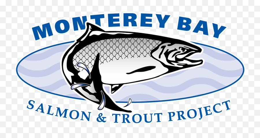 Monterey Bay Salmon And Trout Project Png Simms Icon