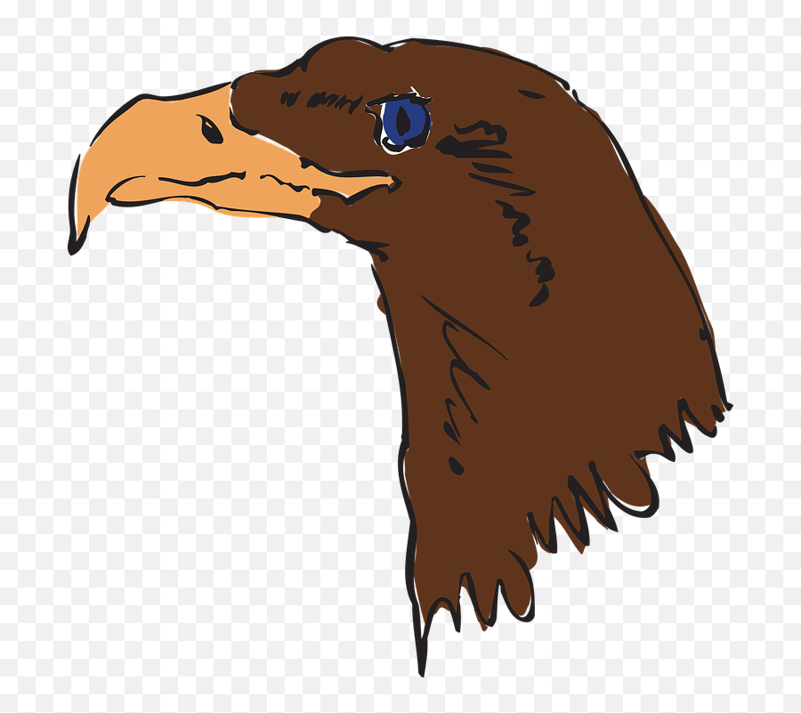 Eagle Head Brown - Hewan Wajah Burung Gagak Kartun Png,Eagle Head Png