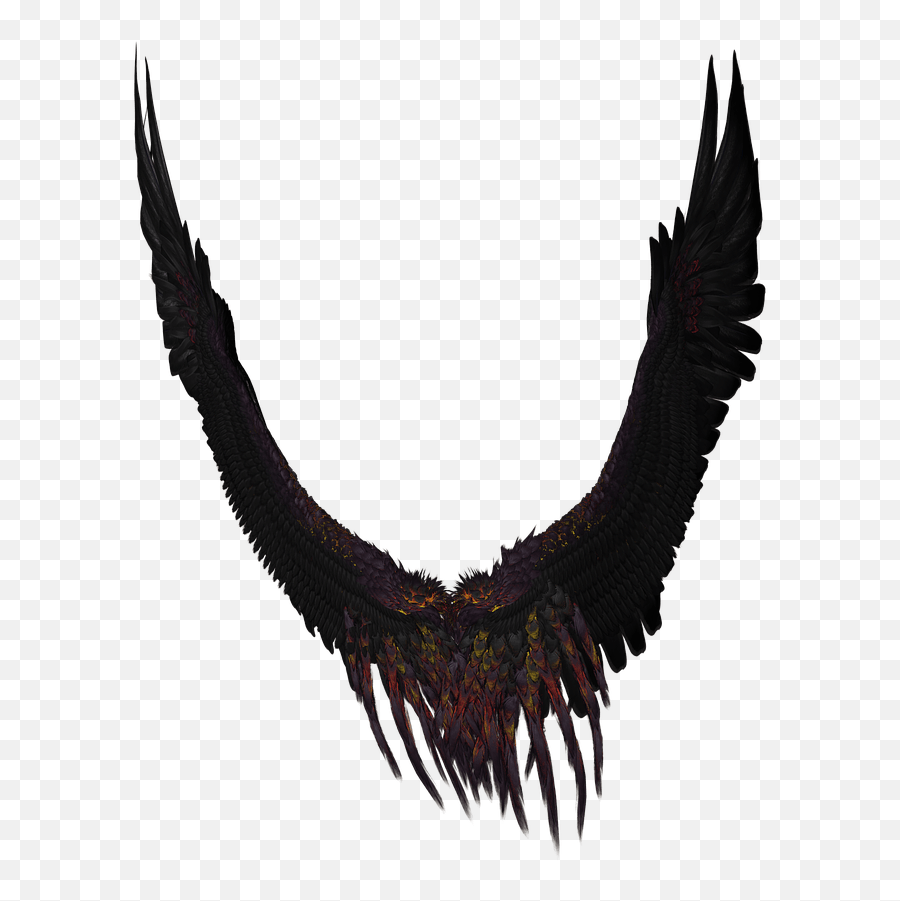 Long Black And Purple Wings Transparent Png - Stickpng,Angel Wings Transparent Background