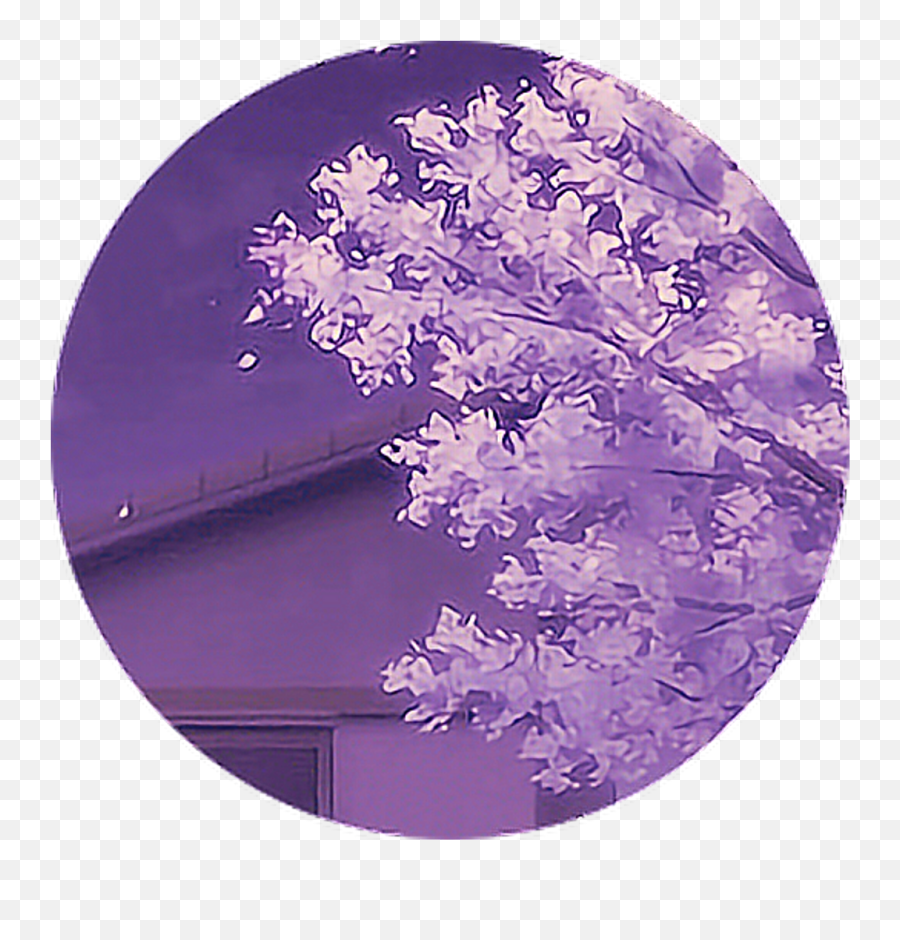 Icon Iconhelp Circle Purple Anime Freetoedit - Anime Png,Anime Guy Icon