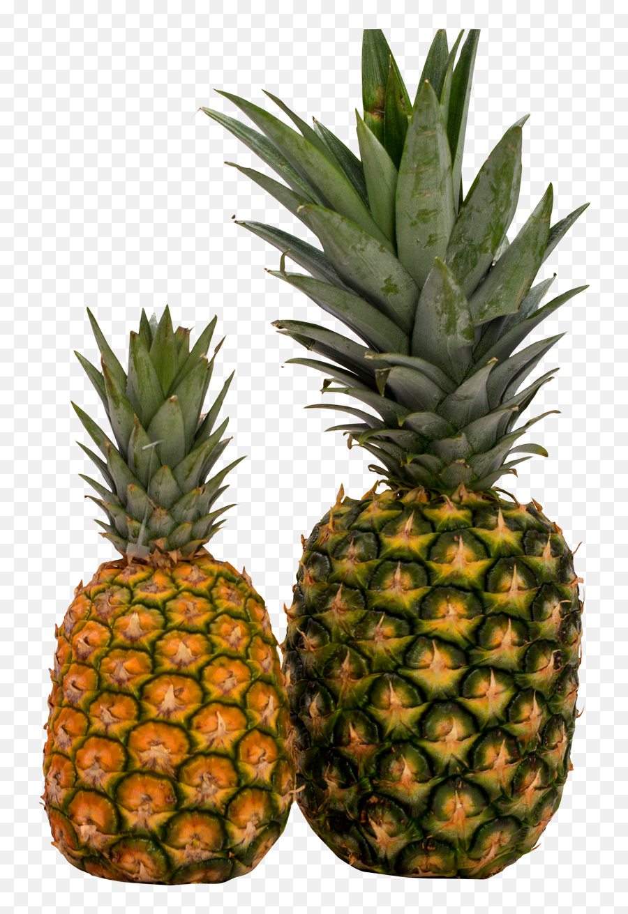 Pineapple Fruit Transparent Png Images - Pineapple Vector Png,Pinapple Png