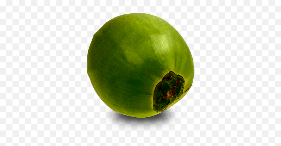 Download Green Coconut Png - Papaya,Coconut Png