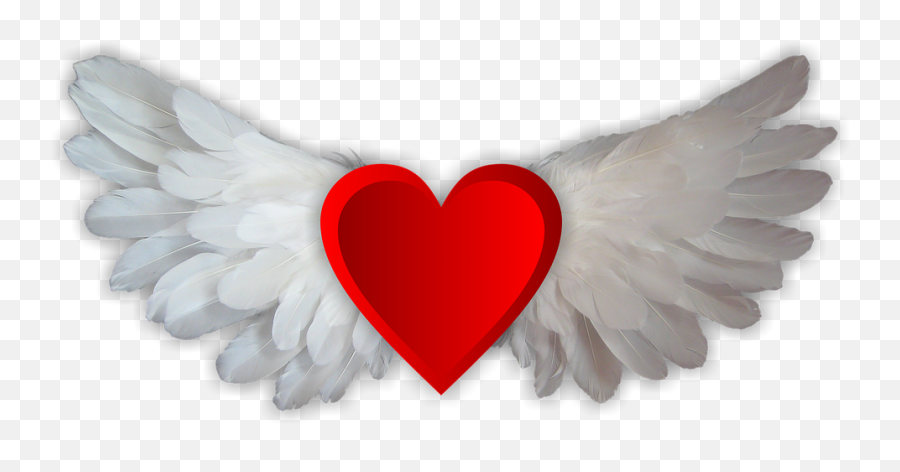 Free Falling In Love Images - Wings Heart Png,Falling Hearts Png