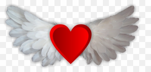 Free Falling In Love Images - Wings Heart Png,Falling Hearts Png