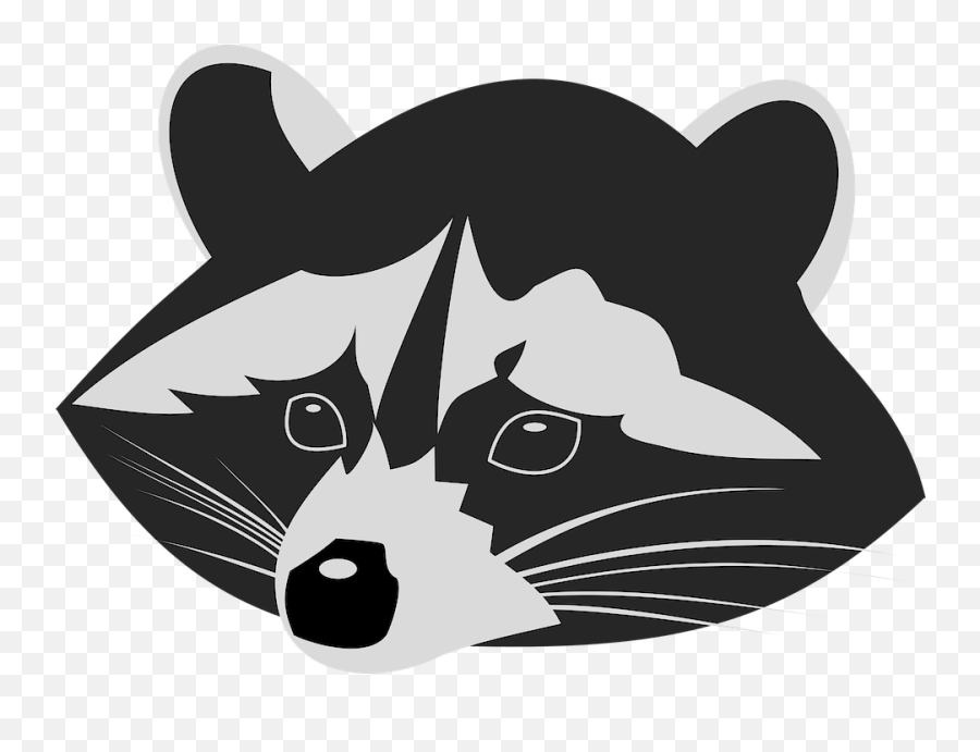 Racoon Coon Raccoon - Black And White Cartoon Raccoon Png,Raccoon Png