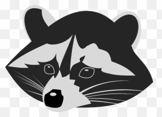 Racoon Coon Raccoon - Black And White Cartoon Raccoon Png,Raccoon Png