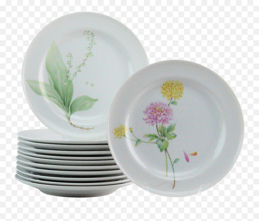 Mikasa Flower Of The Month Dinner Png Plate