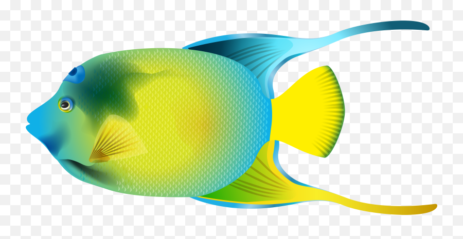 Free Fish Png Clipart Download Clip Art - Angel Fish Png,Koi Fish Png