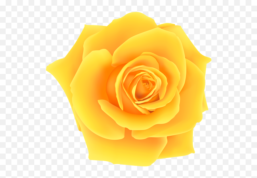 Yellow Rose Png Clip Art Image Adesivos De Unhas White Transparent Background