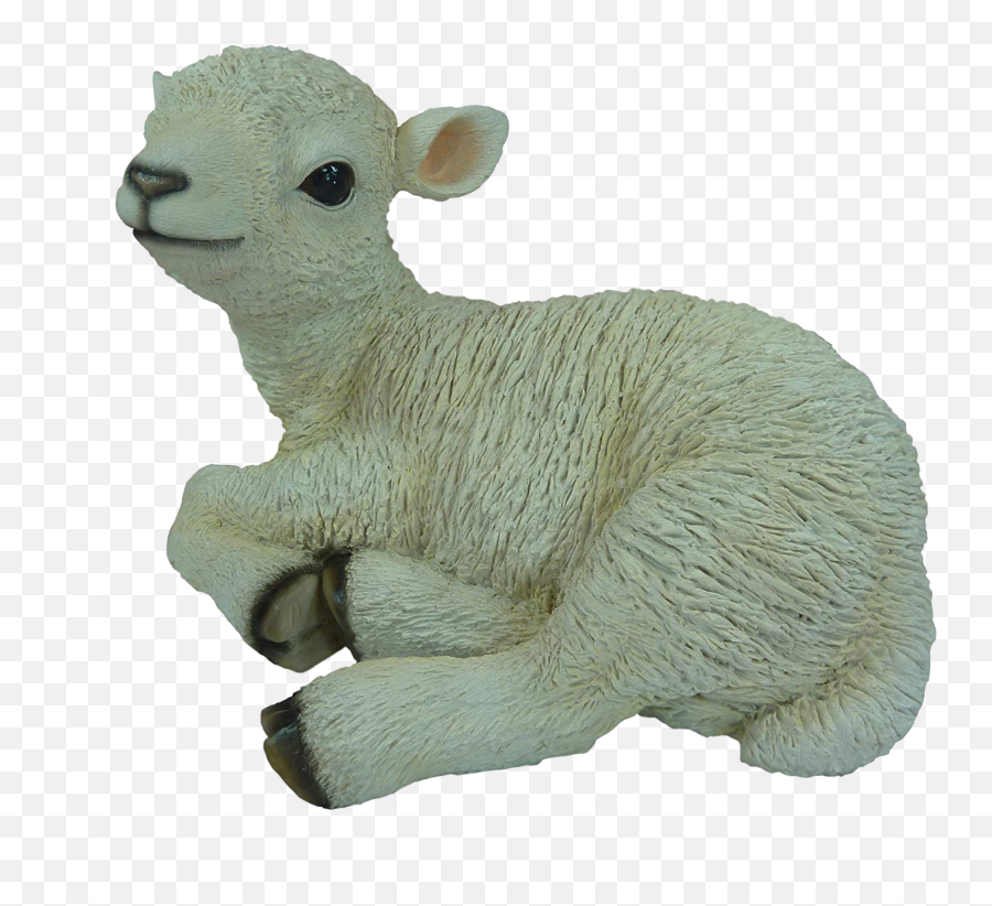 Lamb Png Pic - Lamb Png,Lamb Png