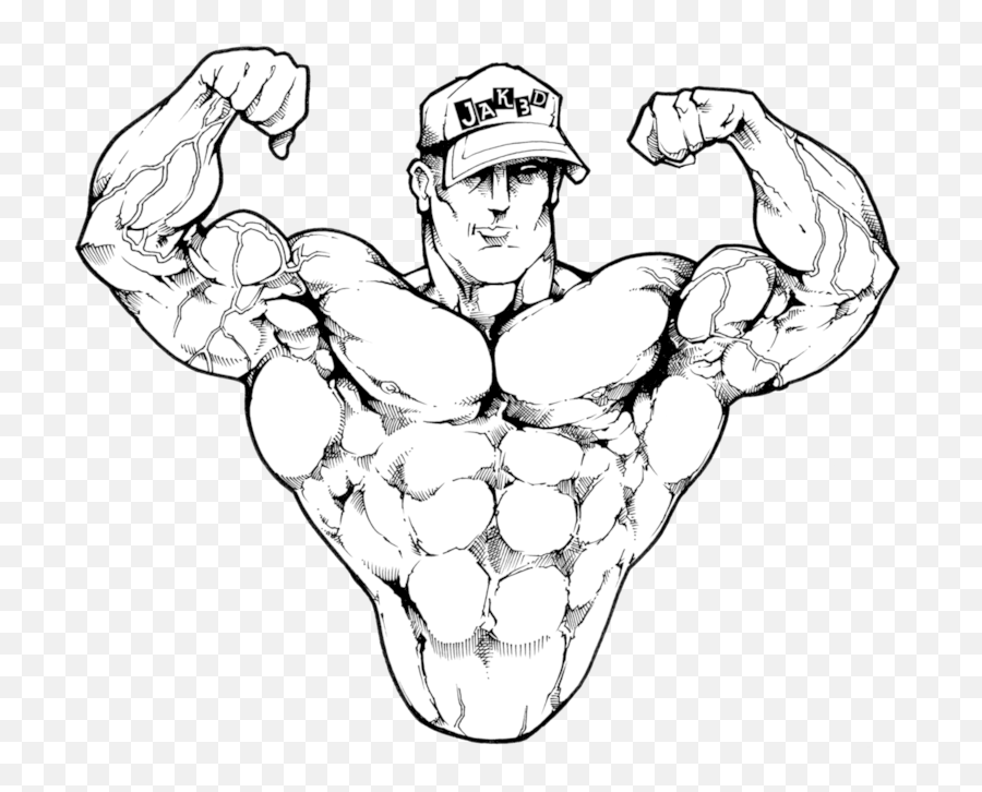 Biceps Drawing Sketch Transparent Png - Biceps Png,Bicep Png