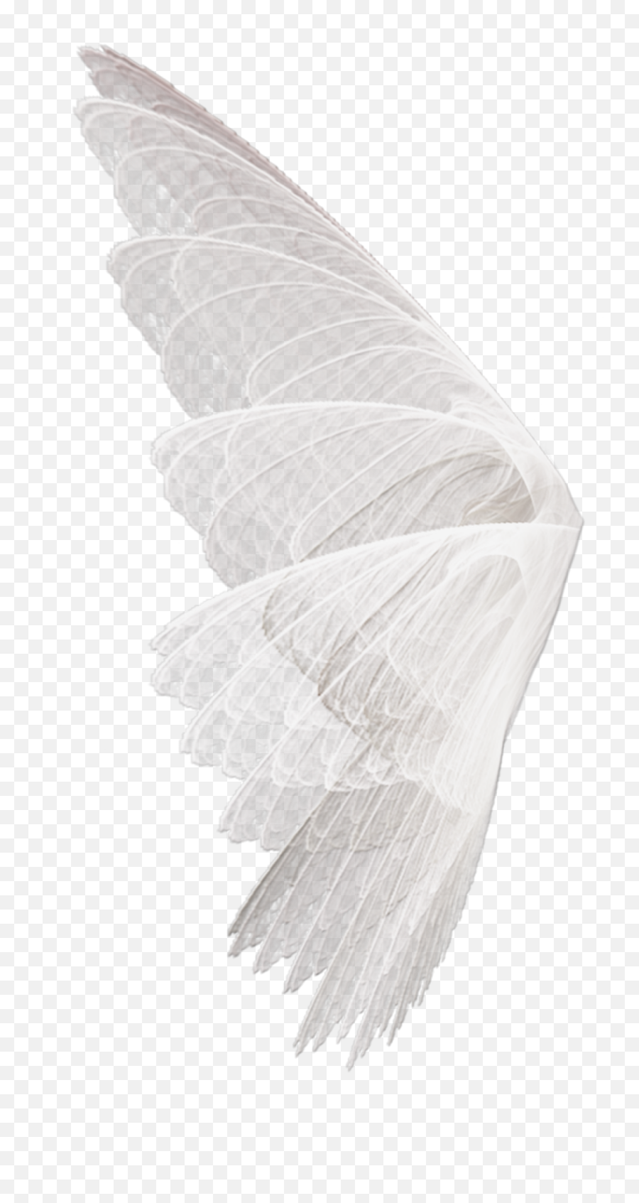 Fairy Wings Fairywings Soft Cute Tumblr Sticker By - Eagle Png,Fairy Wings Png
