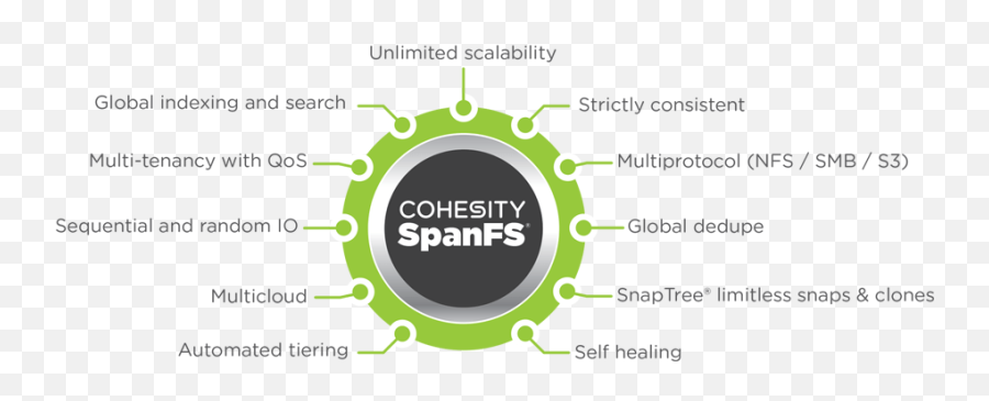 Distributed File System Spanfs Cohesity - Circle Png,Nfs Logo