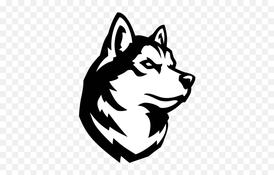 Northeastern Huskies - News Scores Northeastern Husky Logo Png,Husky Transparent