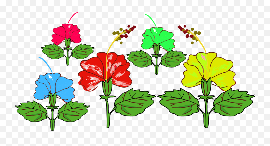 Hibiscus Red Flower Png - Chinese Hibiscus Clipart Full Shoeblackplant,Hibiscus Flower Png